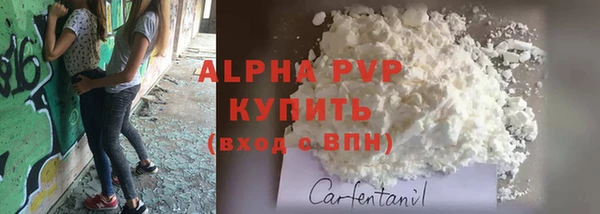 гашик Дмитровск