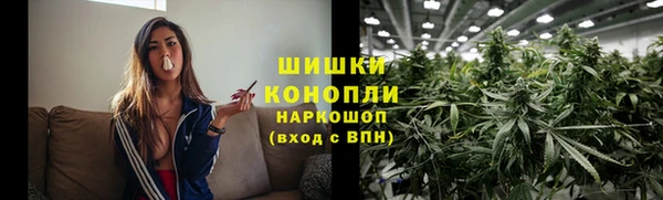 гашик Дмитровск