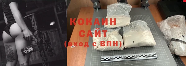 гашик Дмитриев