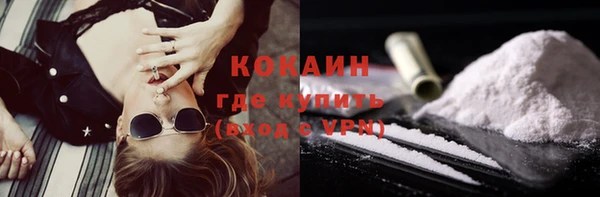 гашик Дмитриев