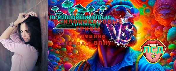 гашик Дмитриев