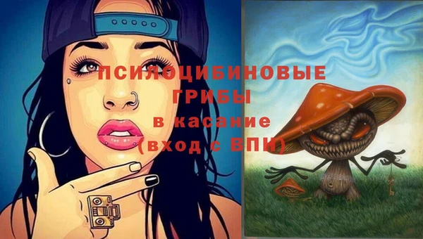 spice Дмитров
