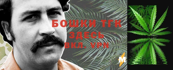 гашик Дмитровск