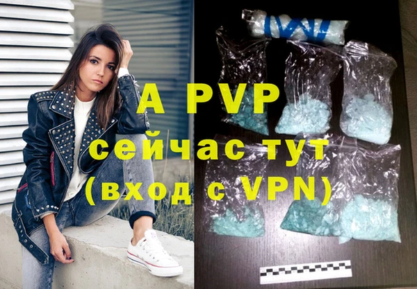 гашик Дмитриев