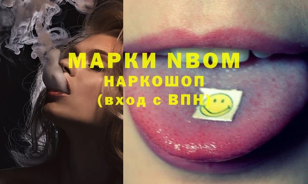 гашик Дмитровск