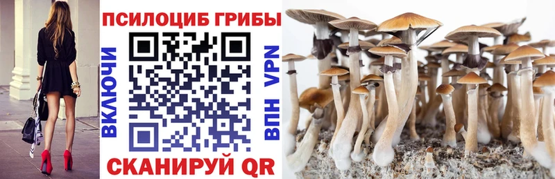 Галлюциногенные грибы мицелий  OMG ссылки  Нурлат  где купить наркотик 